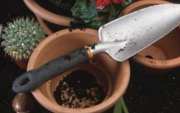 How to Pot a Cactus (Video) How to Pot Cactus