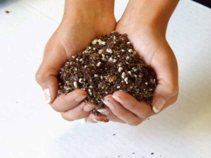 Fast-Draining Soil for Succulents