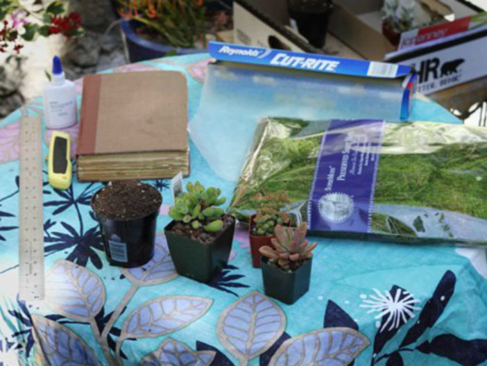Book Planters for Succulents