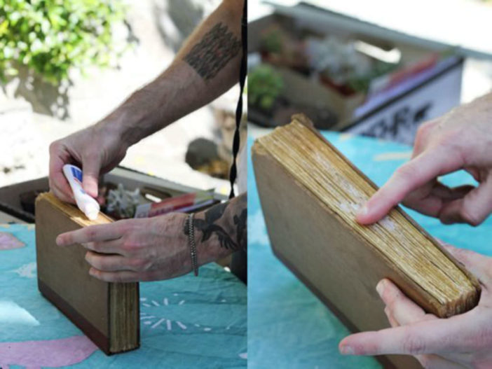 Book Planters for Succulents