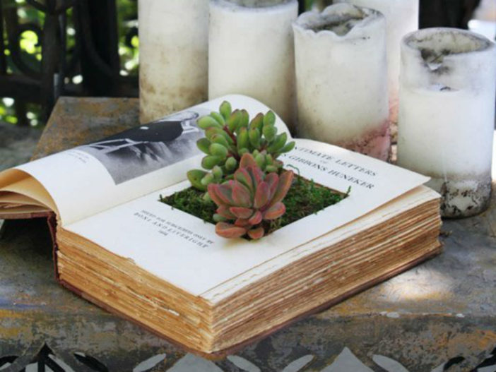 Book Planters for Succulents