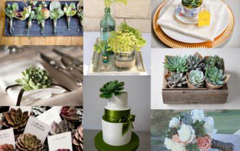 10 Creative Ways to Use Succulents in Your Wedding Creative Ways to Use Succulents in Your Wedding