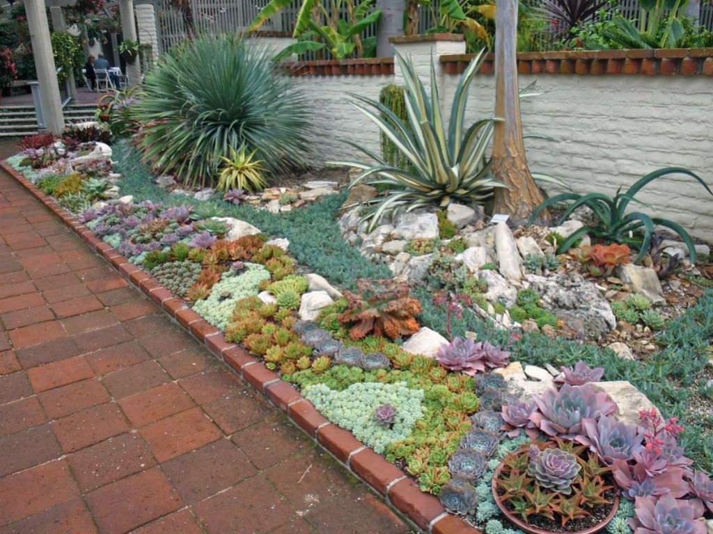 How to Plant an Outdoor Succulent Garden World of Succulents