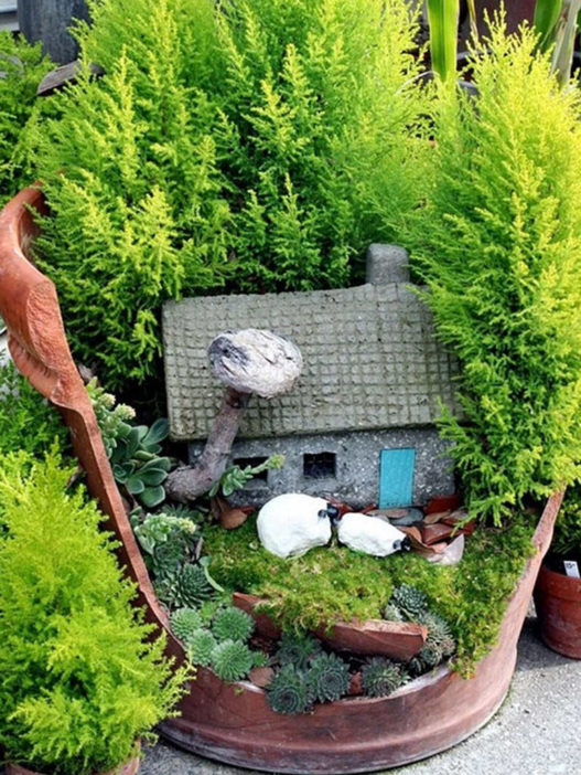 Fairy Gardens with Succulents from Broken Pots | World of Succulents