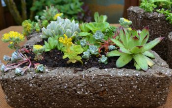 How to Make Hypertufa Containers for Succulents Hypertufa containers