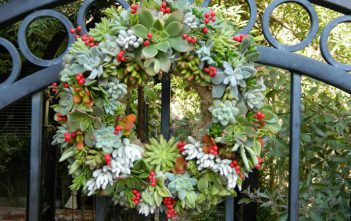 Succulent Wreath and Other Succulent Wall Hangings Succulent Wreath