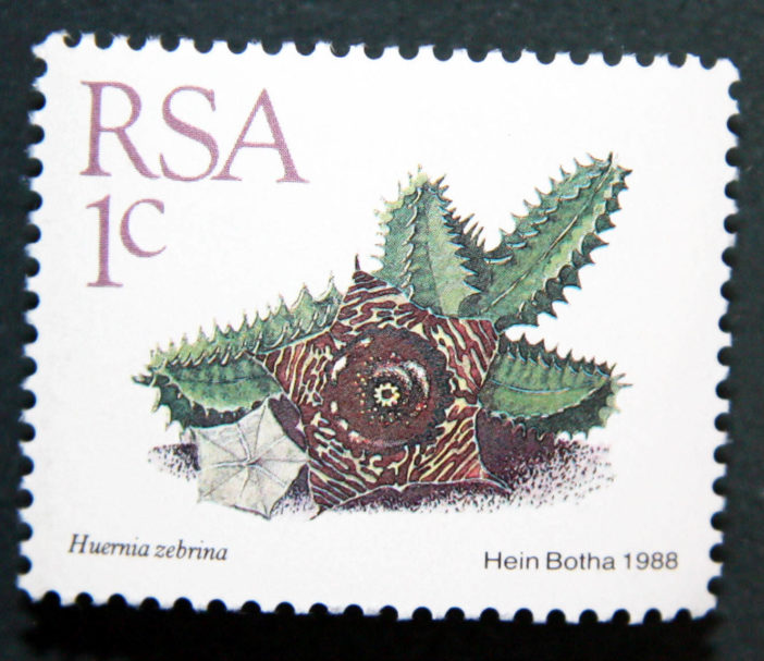Succulents on Stamps: Huernia zebrina, South Africa, 1988