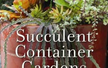 Book: Succulent Container Gardens Succulent Container Gardens