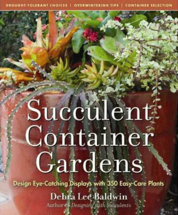 Succulent Container Gardens