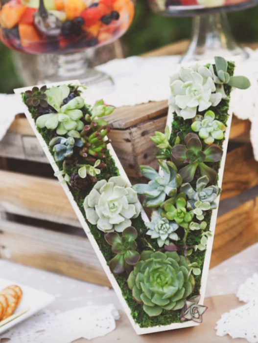 Wedding Succulents