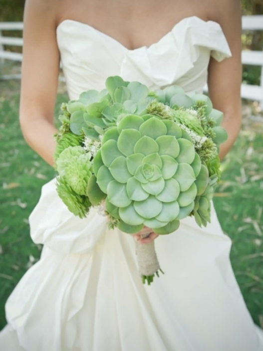 Creative Ways to Use Succulents in Your Wedding