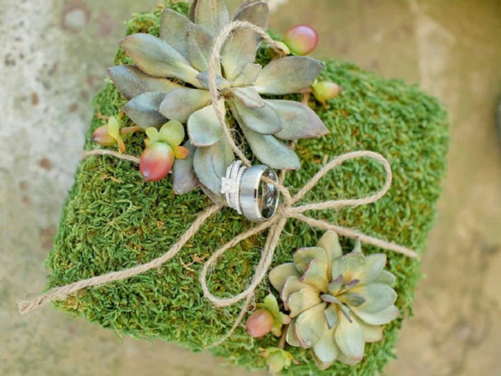 Creative Ways to Use Succulents in Your Wedding