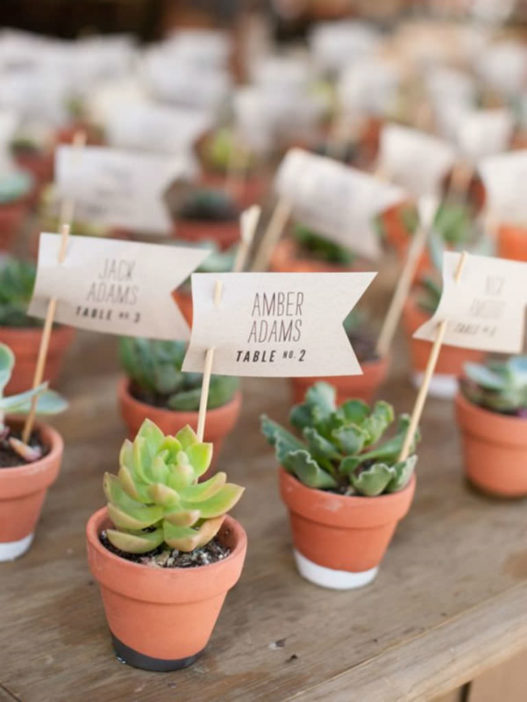 Creative Ways to Use Succulents in Your Wedding