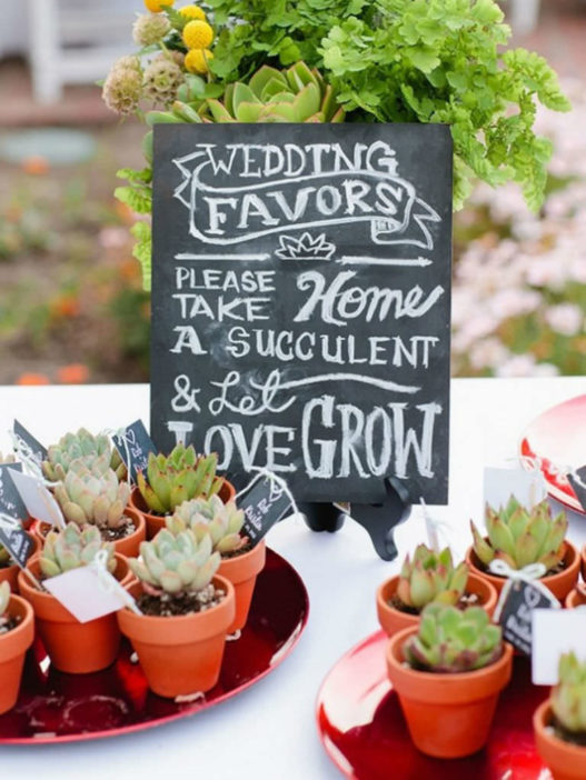 Creative Ways to Use Succulents in Your Wedding