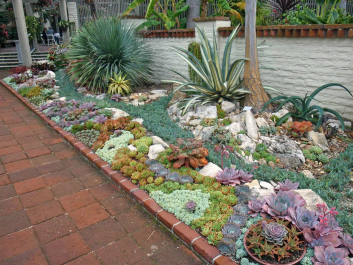 How To Plant An Outdoor Succulent Garden World Of Succulents - Succulents Garden Design