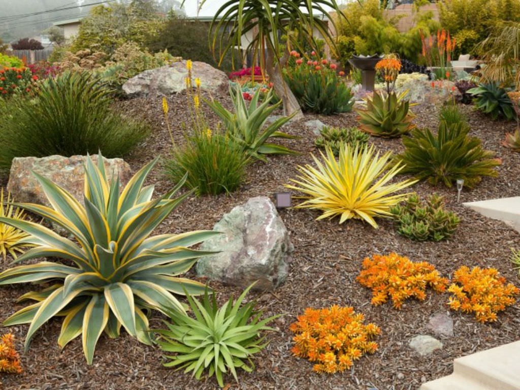 How to Plant a Succulent Garden World of Succulents