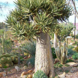 How to read TIFF images in Java Tutorial  Java PDF Blog