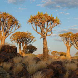 javaximageiopluginstiff Java SE 11 amp JDK 11   Oracle