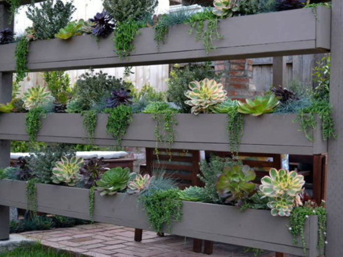 Easy-Care Mini Succulent Garden Ideas